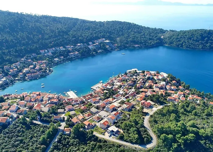 公寓 Peselj-studio With Balcony And Sea View 1 *